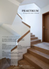 Praktium/Job Inserat