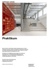 Praktium/Job Inserat