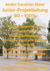 Praktium/Job Inserat