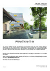 Praktium/Job Inserat